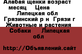 Алабая щенки возраст 1 месяц. › Цена ­ 5 000 - Липецкая обл., Грязинский р-н, Грязи г. Животные и растения » Собаки   . Липецкая обл.